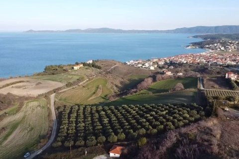5625m² Land in Chalkidiki, Greece No. 109131 3