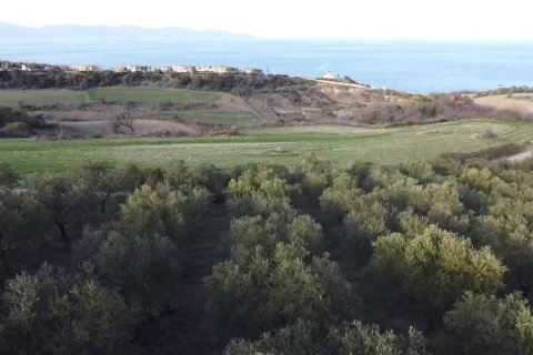 5625m² Land in Chalkidiki, Greece No. 109131 4