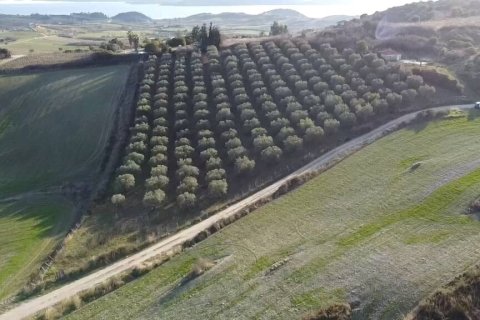 5625m² Land in Chalkidiki, Greece No. 109131 2