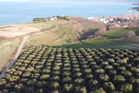5625m² Land in Chalkidiki, Greece No. 109131 7