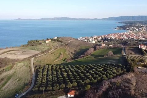 5625m² Land in Chalkidiki, Greece No. 109131 5