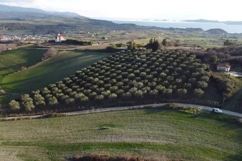 5625m² Land in Chalkidiki, Greece No. 109131 9
