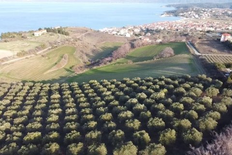 5625m² Land in Chalkidiki, Greece No. 109131 8