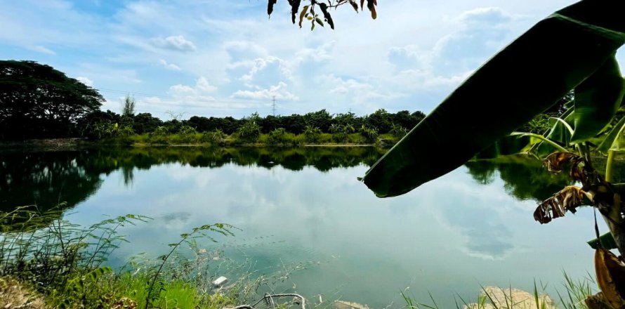 Land in Chiang Mai, Thailand No. 97713