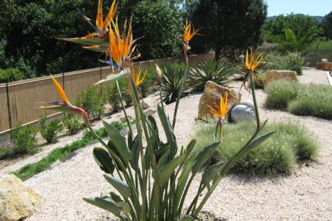 4 dormitorios Villa en Le Plan-de-la-Tour, France No. 69031 12