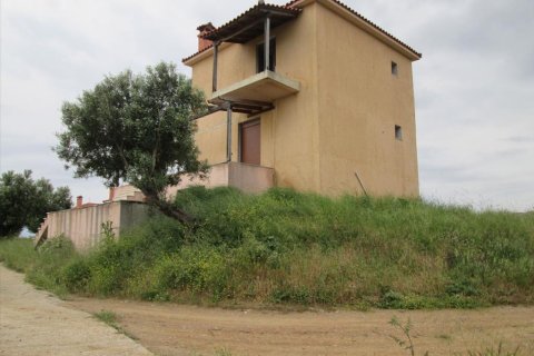 1252m² Hotel à Chalkidiki, Greece No. 56863 6