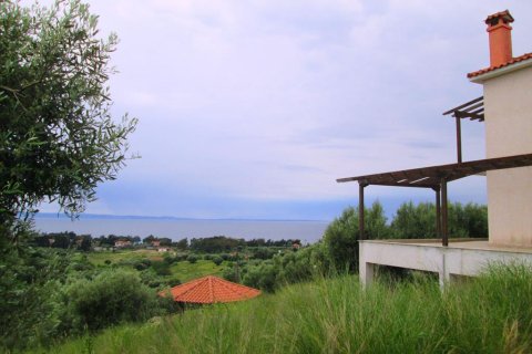 1252m² Hotel à Chalkidiki, Greece No. 56863 2