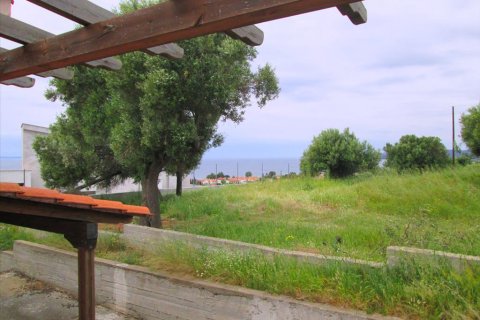 1252m² Hotel à Chalkidiki, Greece No. 56863 11