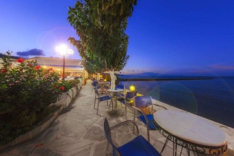 56 bedrooms Hotel in Zakynthos, Greece No. 24792 17