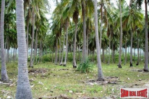 8800m² Land à Ko Lanta Yai, Thailand No. 96511 6