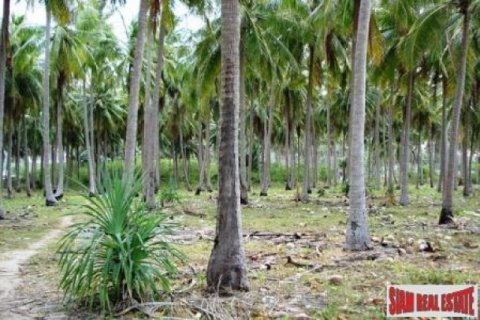 8800m² Land à Ko Lanta Yai, Thailand No. 96511 5