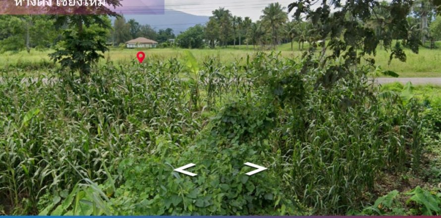 Land in Chiang Mai, Thailand No. 97861