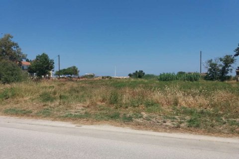 Land in Zakynthos, Greece No. 28131 2