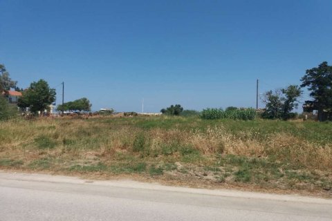 Land in Zakynthos, Greece No. 28131 8