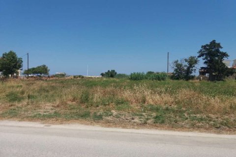 Land in Zakynthos, Greece No. 28131 4