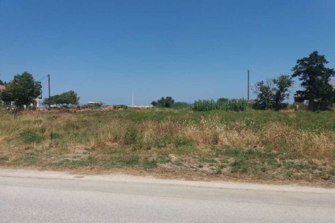 Land in Zakynthos, Greece No. 28131 9