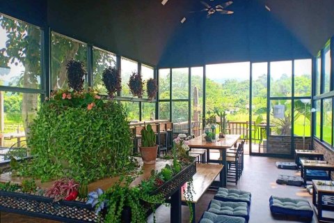 13 bedrooms Commercial property in Chiang Mai, Thailand No. 97581 23