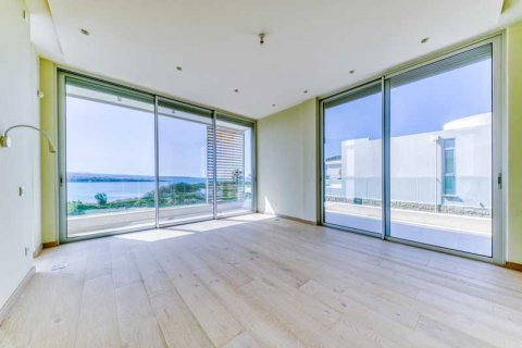 5 chambres Villa à Pegeia, Cyprus No. 29201 8