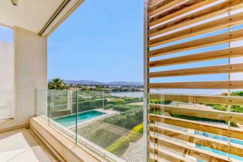 5 chambres Villa à Pegeia, Cyprus No. 29201 3