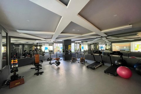 3 rooms Apartment in Chau Lang, Vietnam No. 20635 4