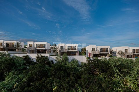 3 bedrooms Villa in Phu Ngai, Vietnam No. 17630 15