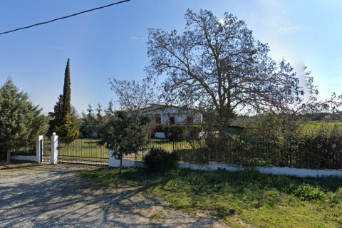 5 bedrooms House in Thessaloniki, Greece No. 107401 24