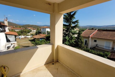 4 dormitorios House en Vasilika, Greece No. 109351 20