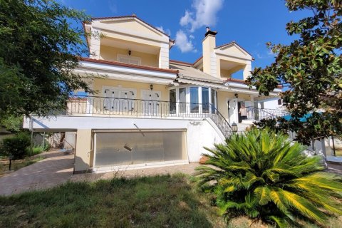 4 dormitorios House en Vasilika, Greece No. 109351 23