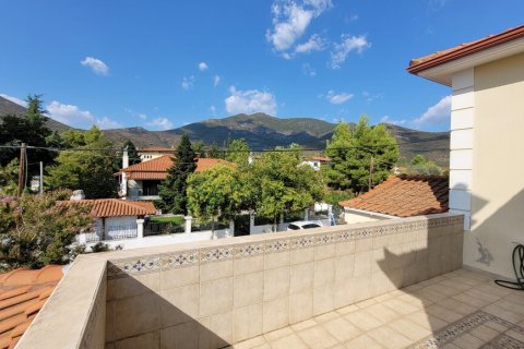 4 dormitorios House en Vasilika, Greece No. 109351 25