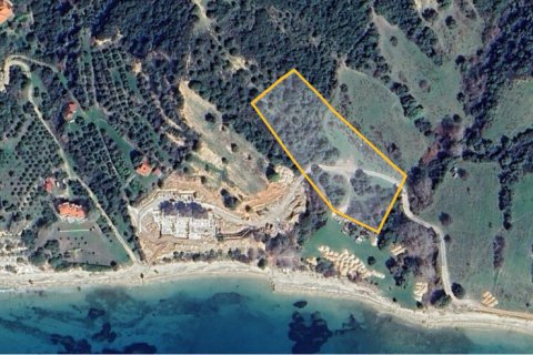 8000m² Land in Chalkidiki, Greece No. 109117 4