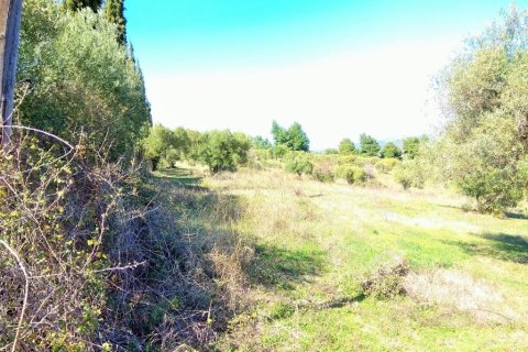 5200m² Land in Chalkidiki, Greece No. 58241 1