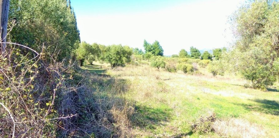 5200m² Land in Chalkidiki, Greece No. 58241