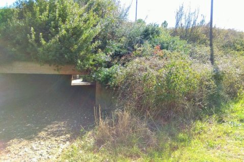 5200m² Land in Chalkidiki, Greece No. 58241 4