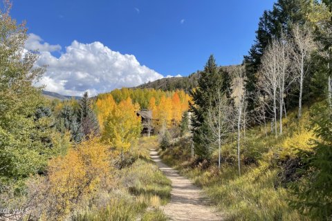 4 bedrooms Townhouse in Edwards, USA No. 78176 16