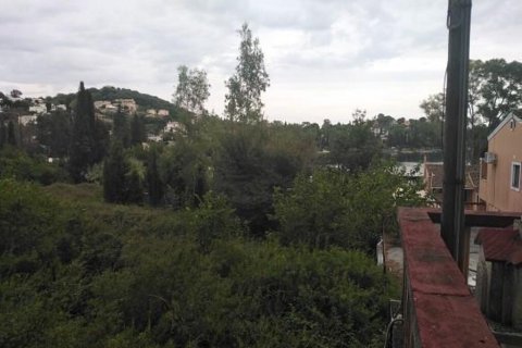 4892m² Land in Corfu, Greece No. 55658 5