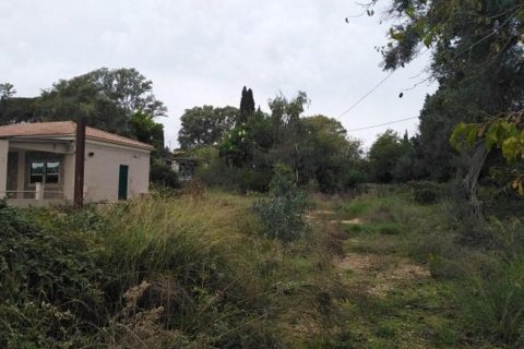 4892m² Land in Corfu, Greece No. 55658 4