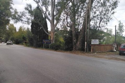4892m² Land in Corfu, Greece No. 55658 1