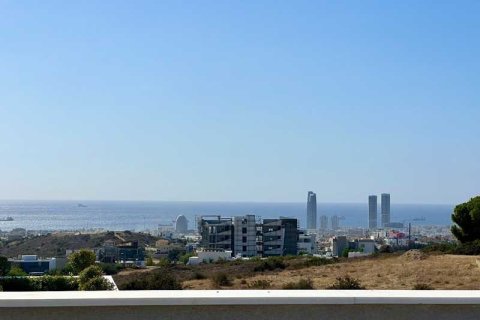 Дом с 6 спальнями в Агиос Афанасиос, Кипр №73333 8