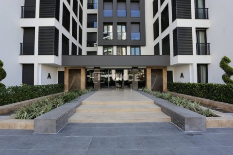 4 chambres Appartement à Phu Tan, Vietnam No. 86362 10