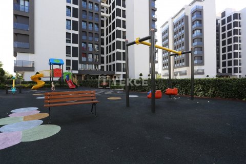 4 chambres Appartement à Phu Tan, Vietnam No. 86362 11