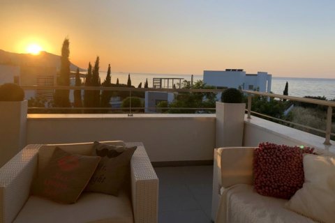 3 dormitorios Villa en Paphos, Cyprus No. 106004 8