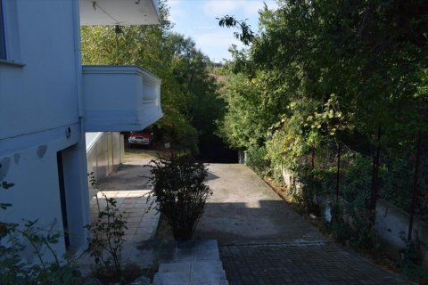 1 bedroom Villa in Thessaloniki, Greece No. 51057 10