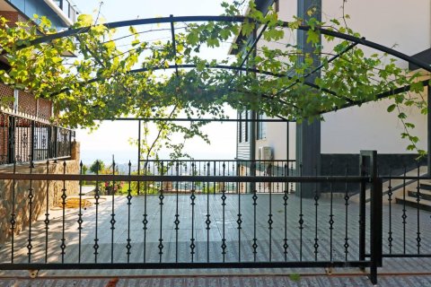 4 bedrooms Villa in Tri Phuong, Vietnam No. 12419 19