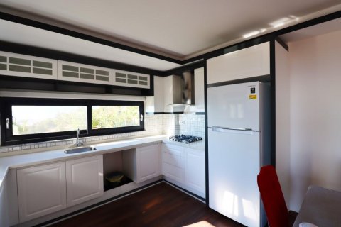 4 bedrooms Villa in Tri Phuong, Vietnam No. 12419 11