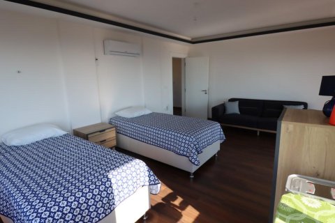 4 bedrooms Villa in Tri Phuong, Vietnam No. 12419 13