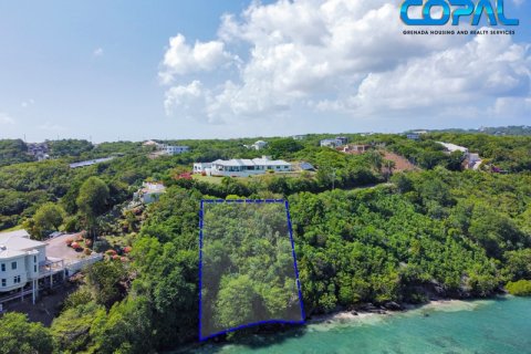 1724m² Land in Egmont, Grenada No. 123209