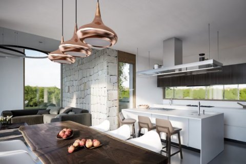 4 chambres Villa à Paphos, Cyprus No. 105773 8