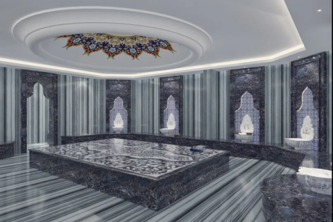 Пентхаус с 2 спальнями в Bo Ha, Вьетнам №12024 2