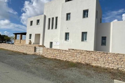 Вилла с 4 спальнями в Писсури, Кипр №76240 6