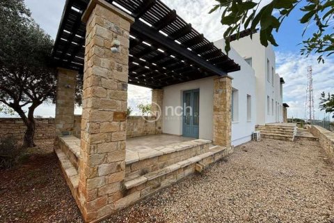 Вилла с 4 спальнями в Писсури, Кипр №76240 8